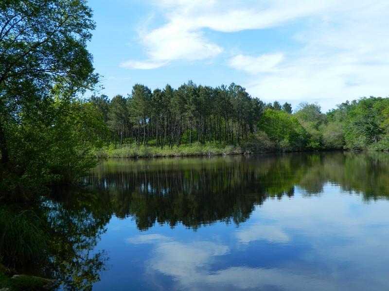 Étang du Lamond