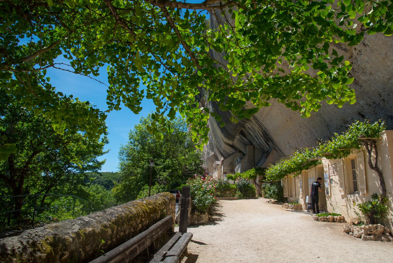 Abris Préhistoriques de Laugerie Basse