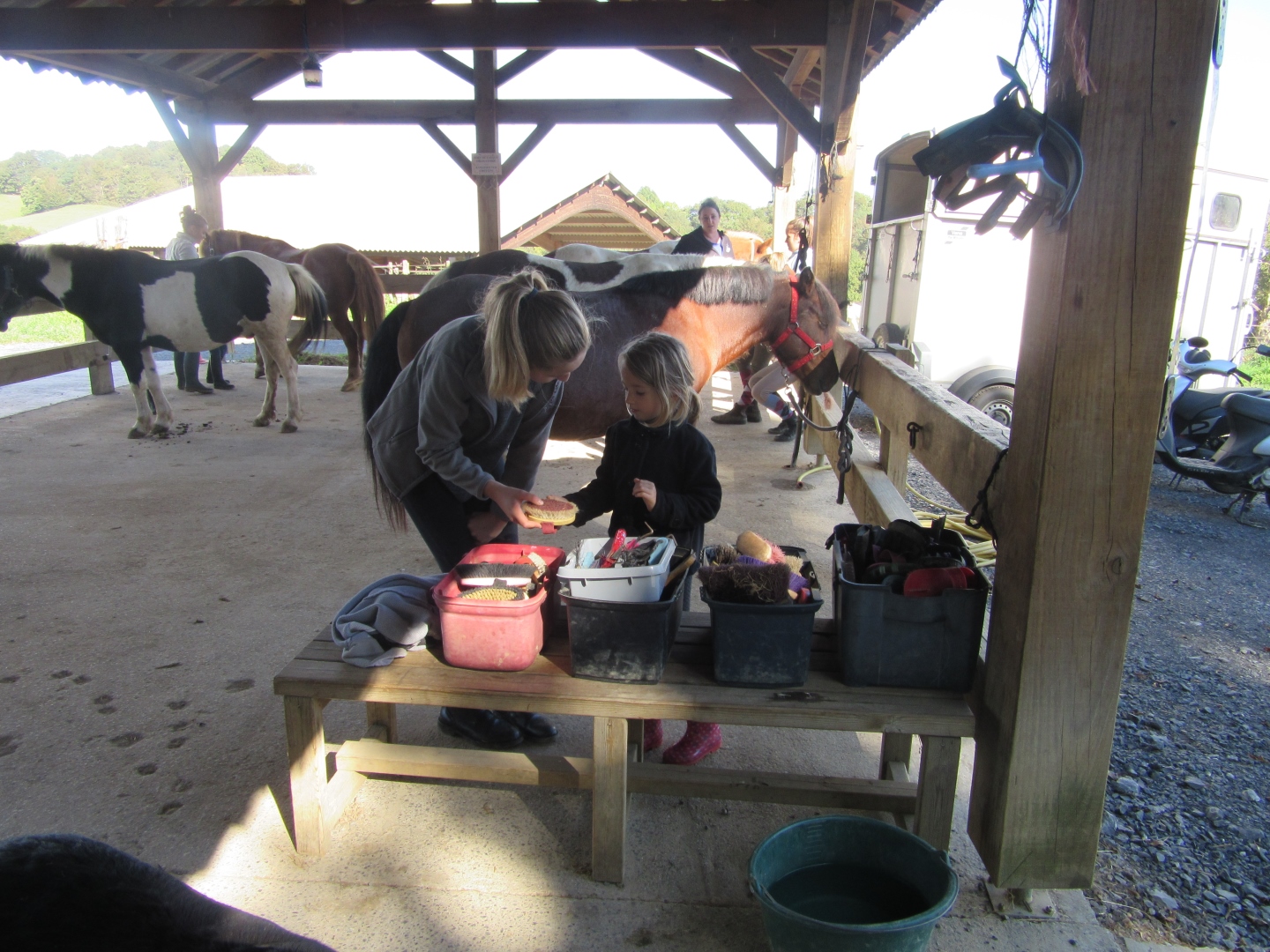 Le Cheval de 3