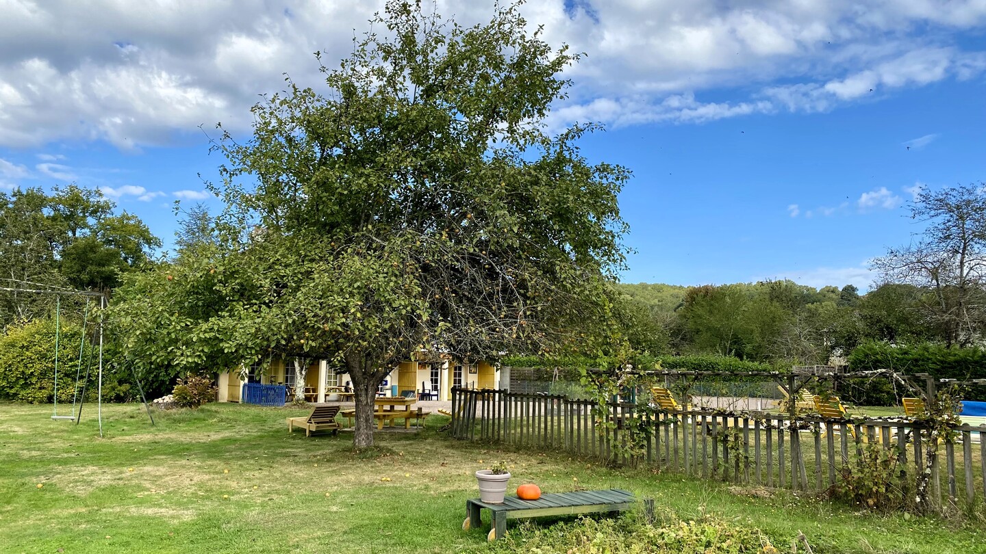 Le Petit Bouleau