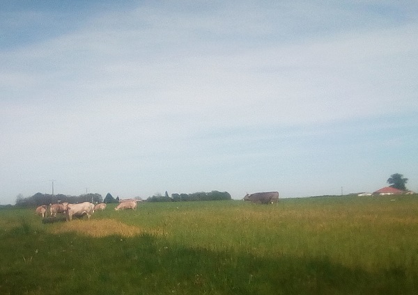Le Refuge d'Eugénie - Armagnac