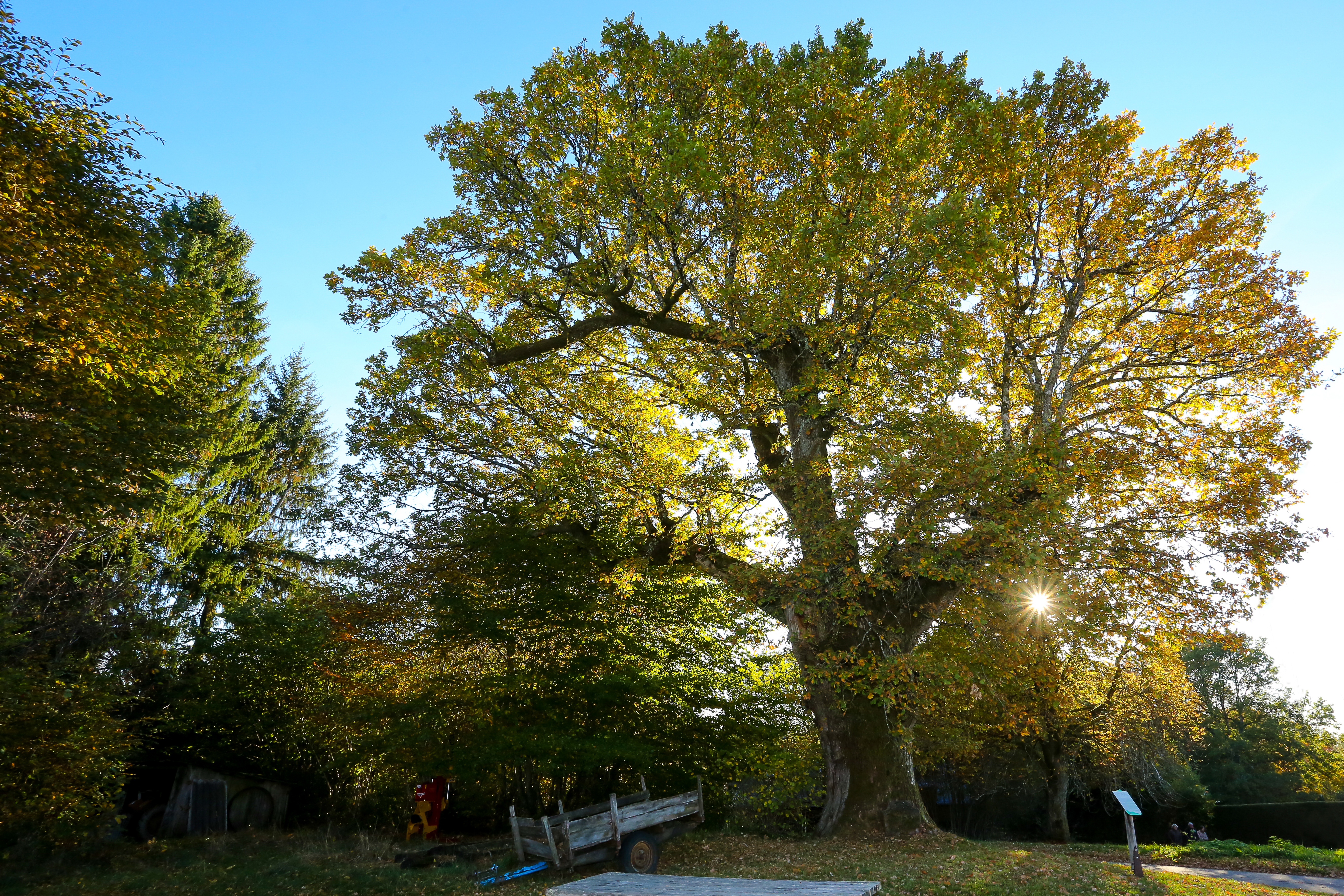 Sur les chemins de Marcouyeux