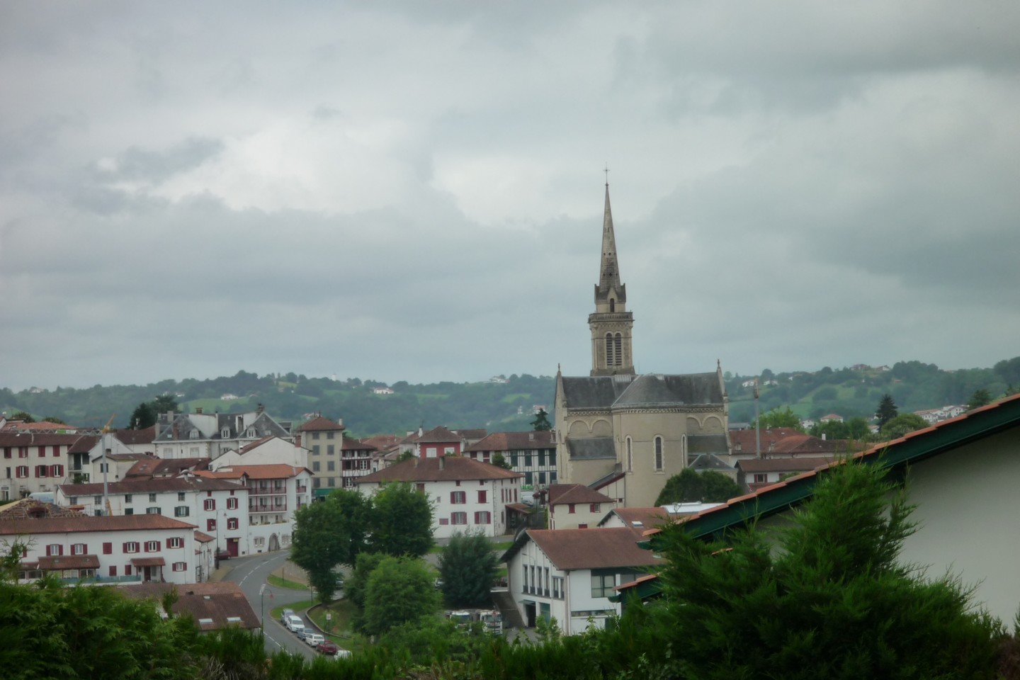 Ardillon