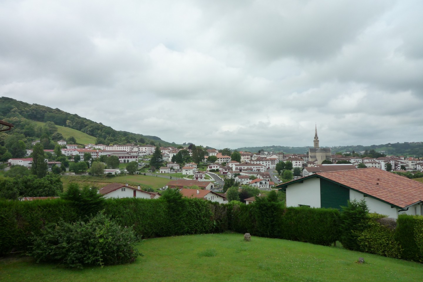 Ardillon