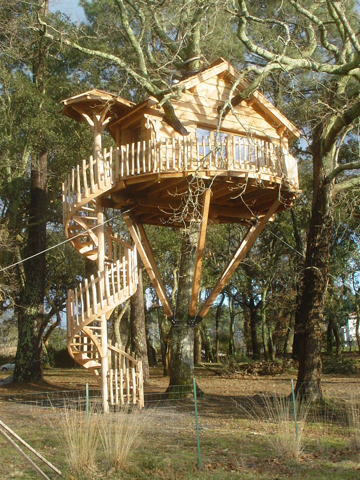 Les Cabanes du Menoy - Léonie