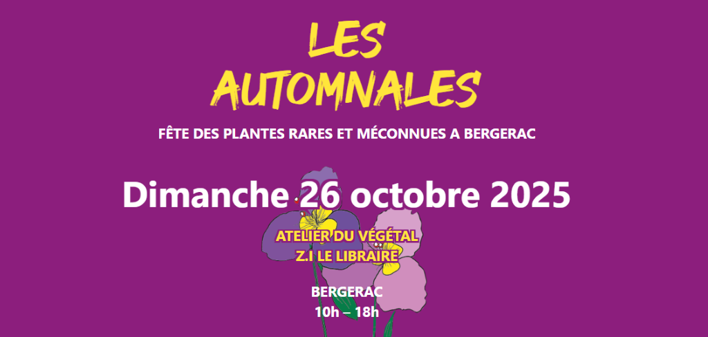 Les Automnales | fête des plantes rares et méconnues