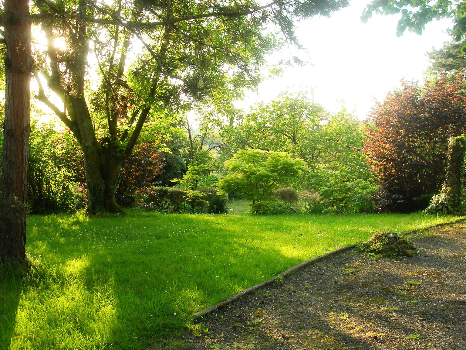 Les Erables