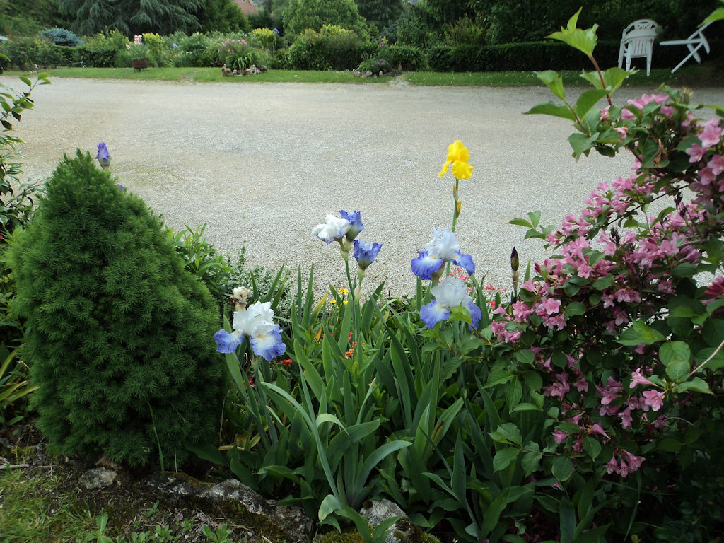 Chambre d'hôtes Les Iris