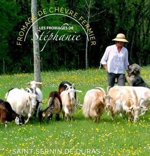 Les chèvres de Stéphanie