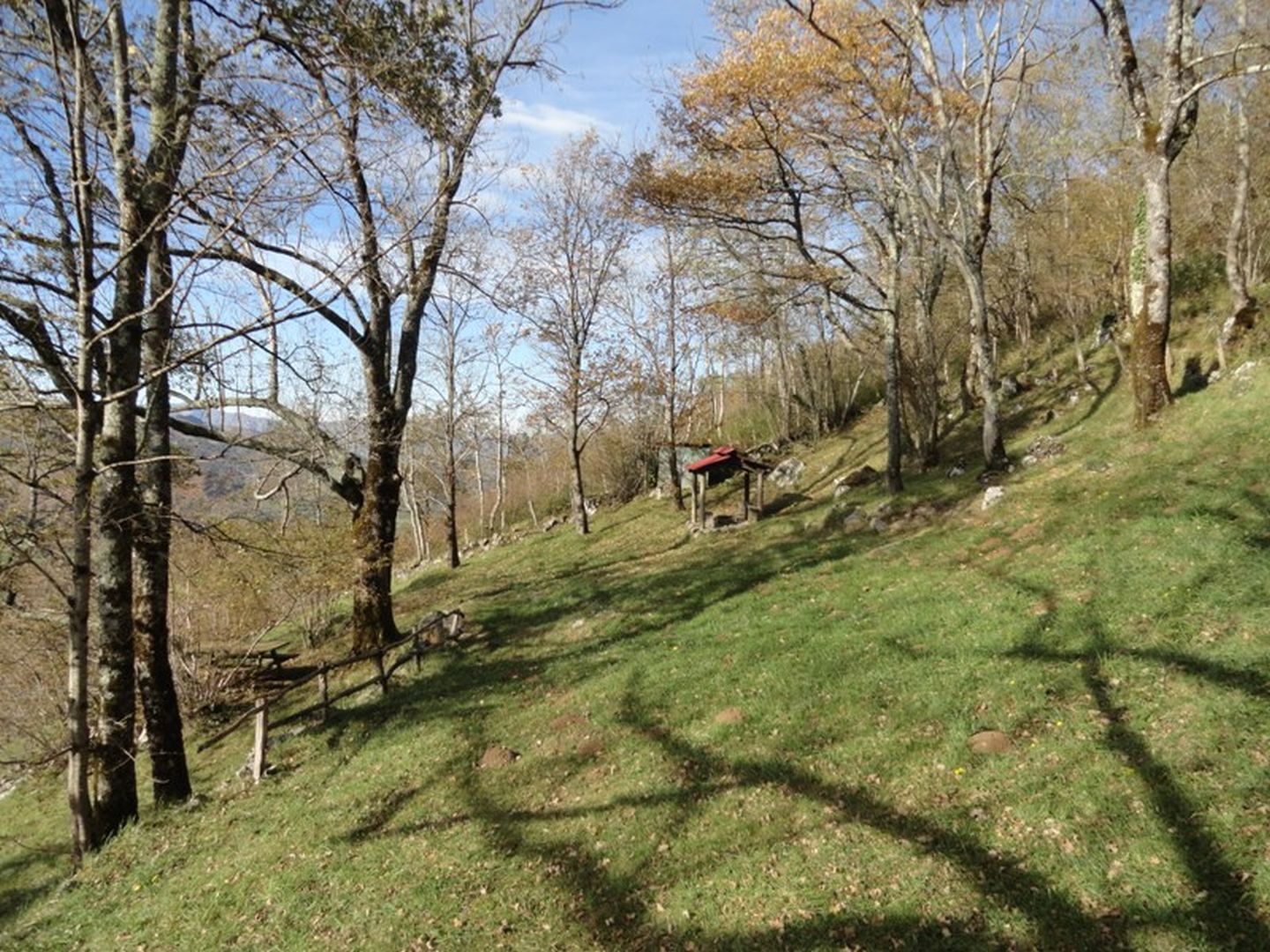Harqueta