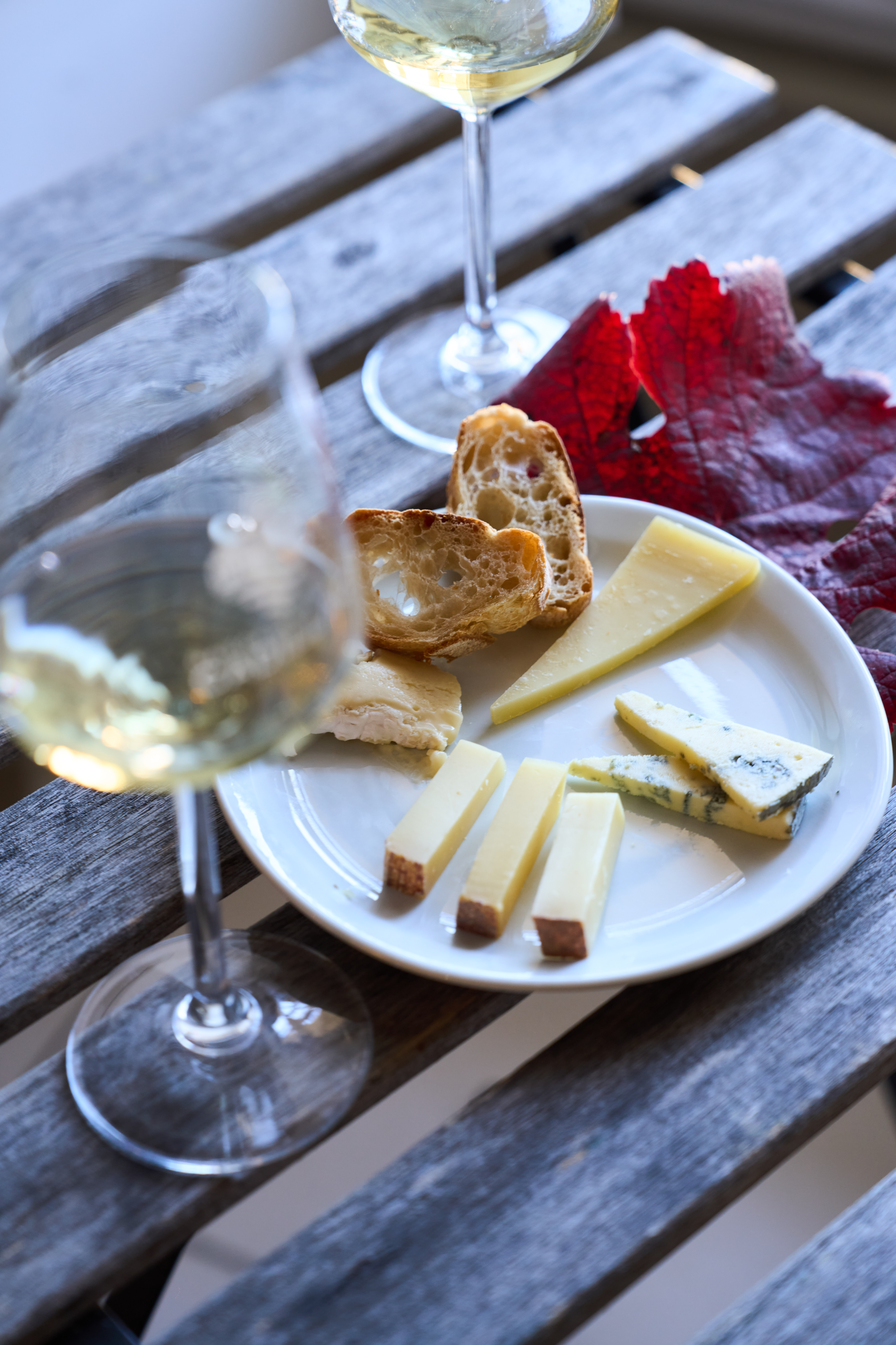 Atelier vins et fromage à la Maison des Vins de Cadillac