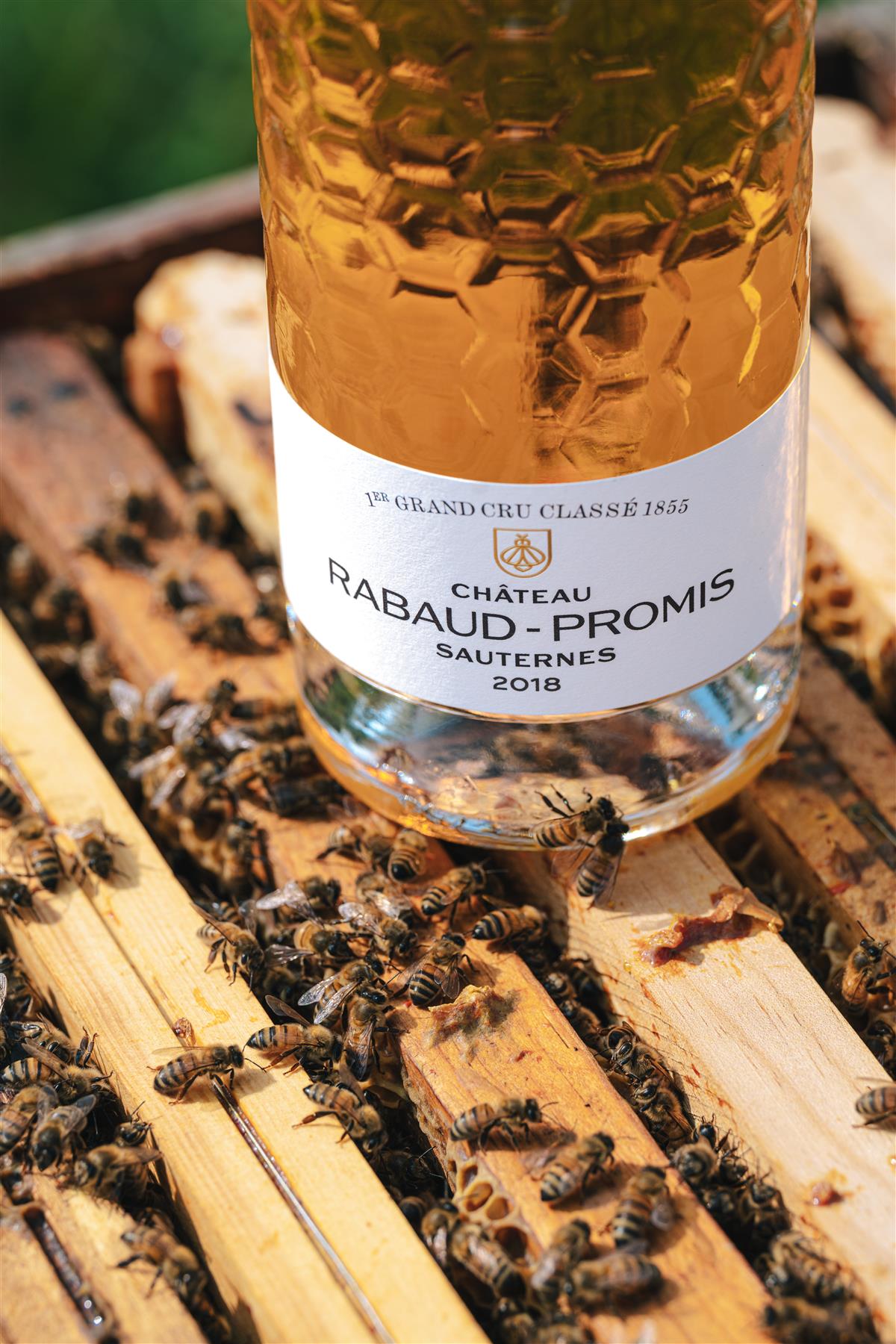 Affiche ou photo : Château Rabaud-Promis