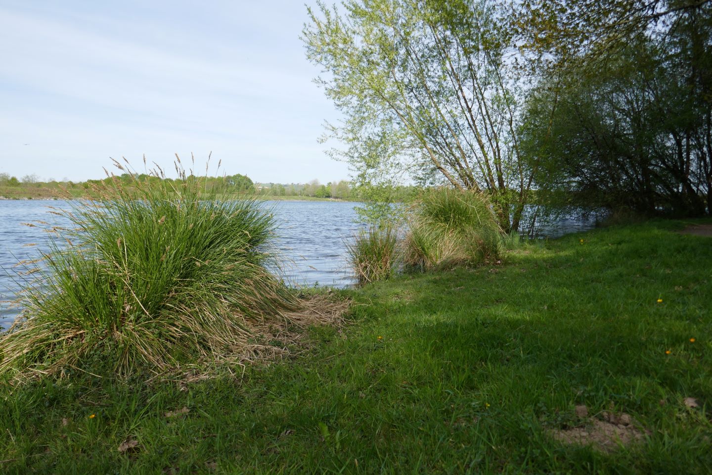 Lac d'Ayguelongue