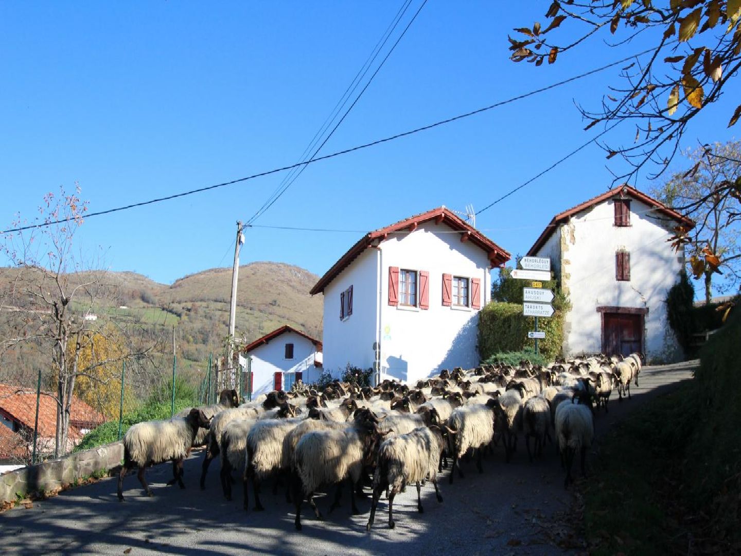 Maison AHOTZTEGIA