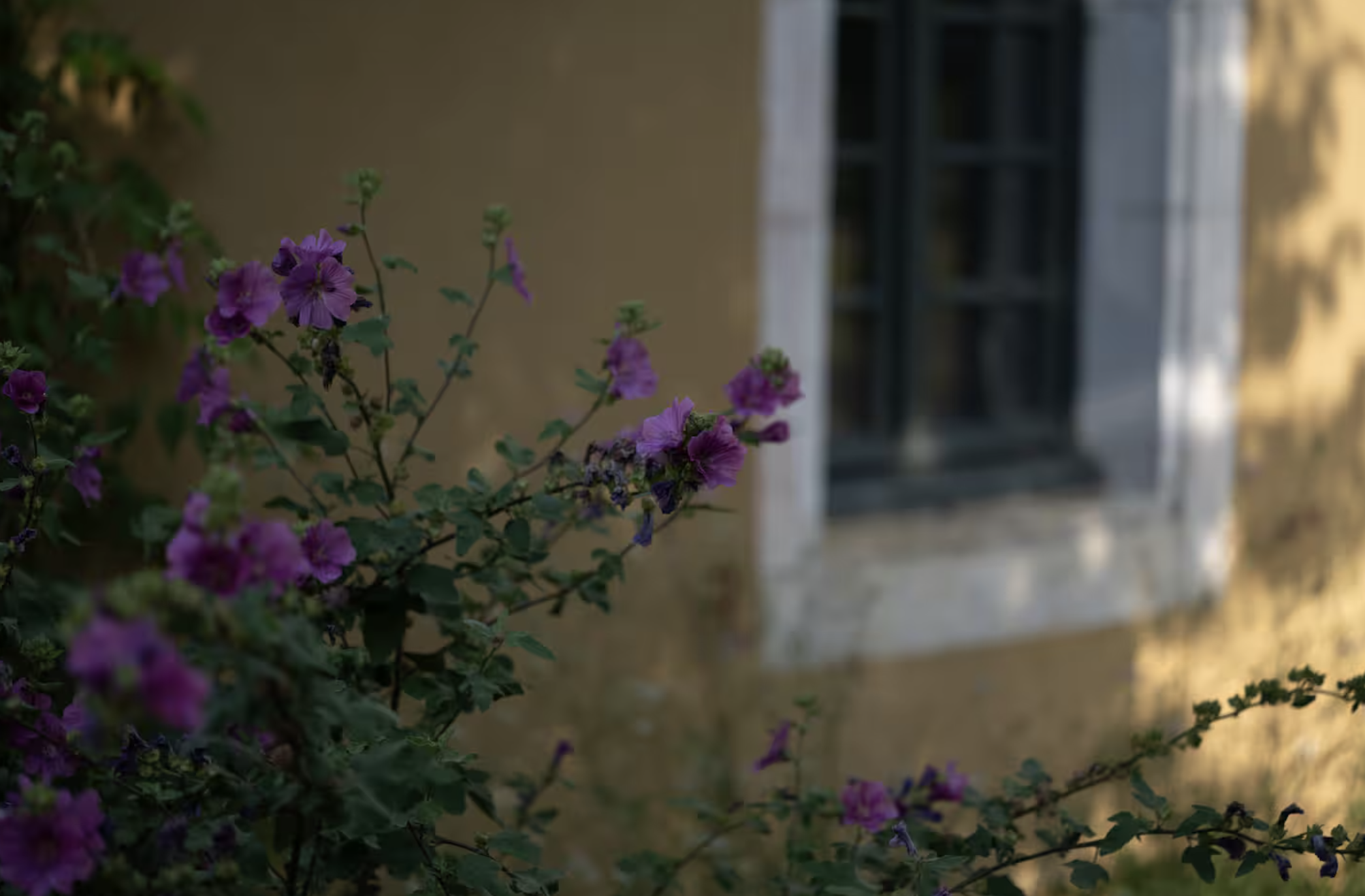 Maison Mirabelle