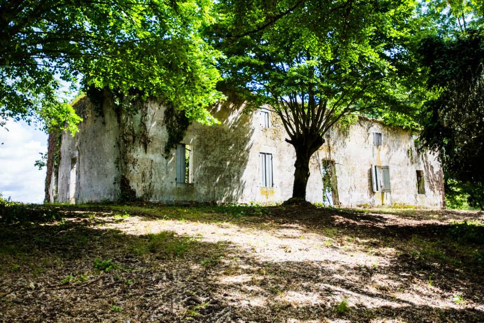 Exposition Marguerite Duras : Toute une vie j'ai écrit, Duras - photo 14