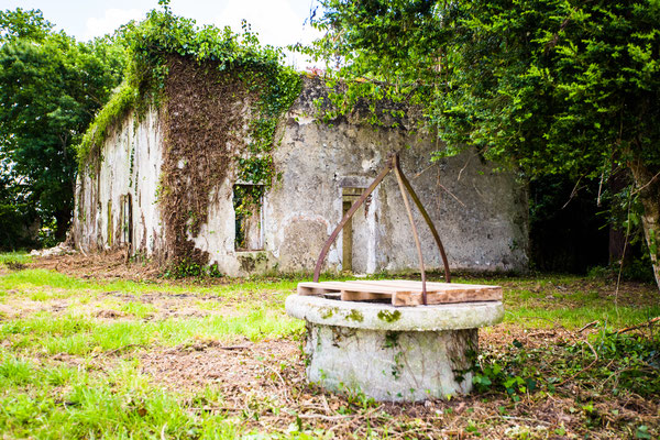 Exposition Marguerite Duras : Toute une vie j'ai écrit, Duras - photo 17