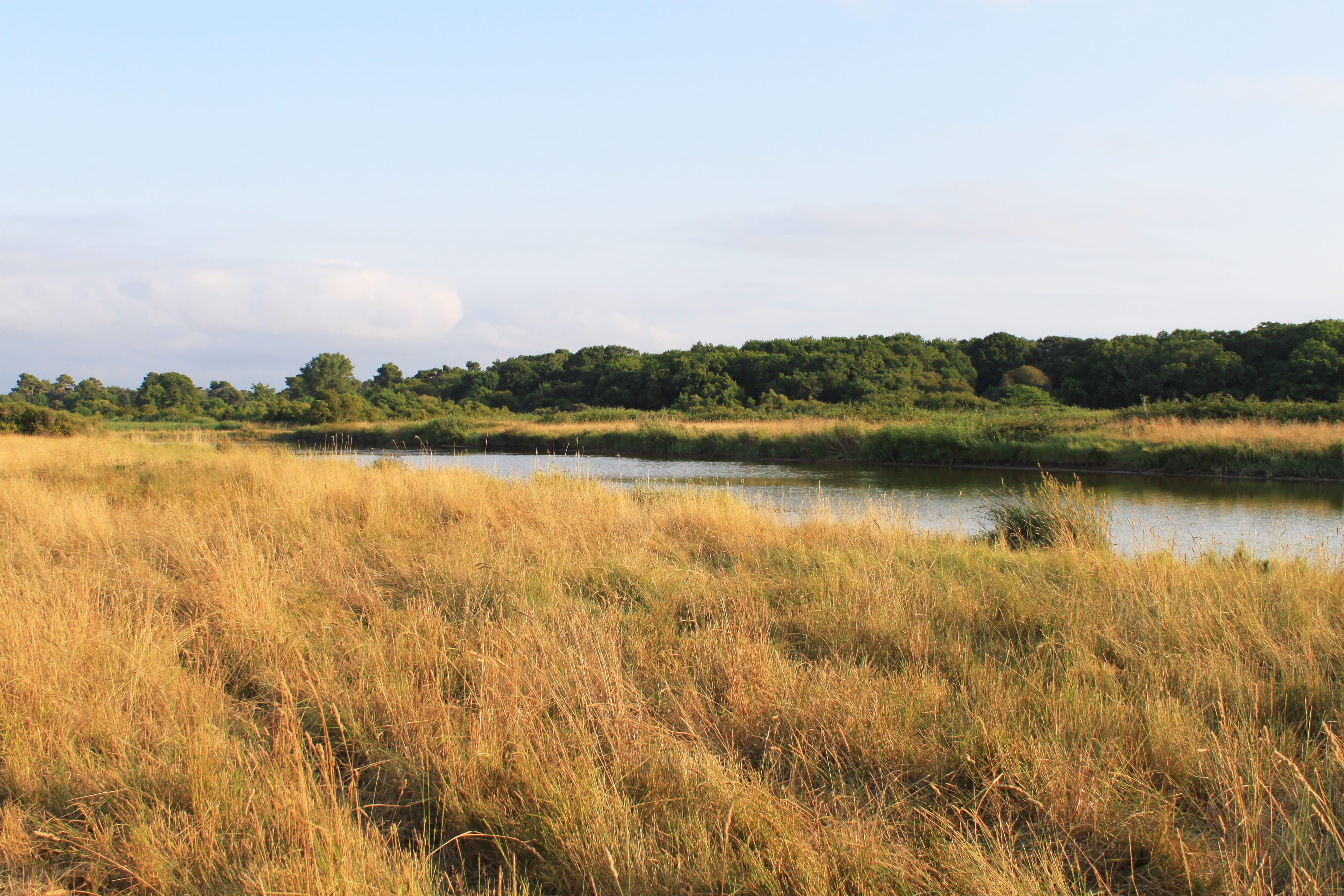 Marais du Logit