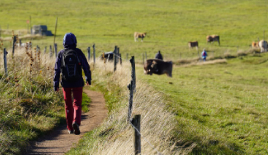 Téléthon Cantonal | Marche