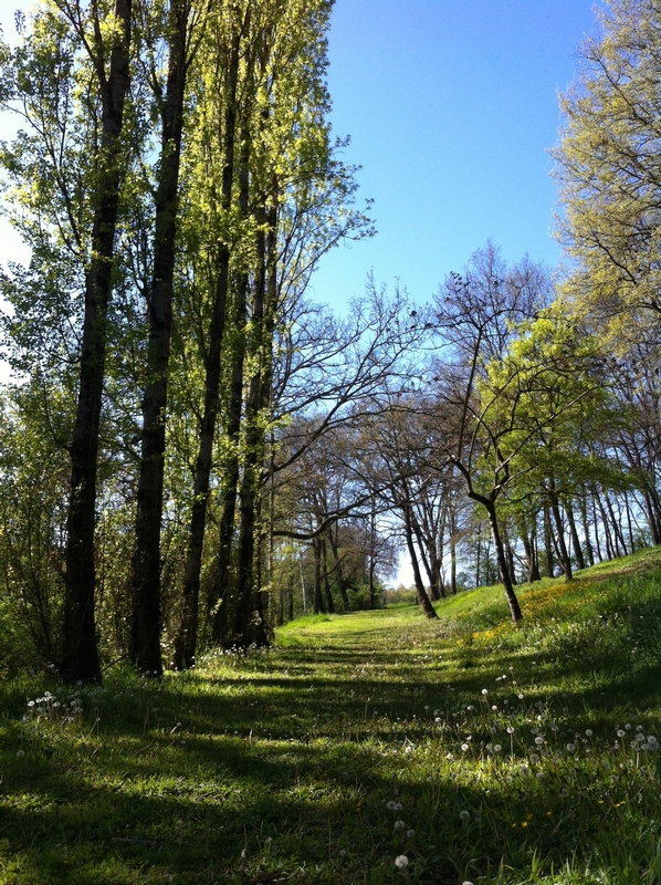 Moulin de Bapaumes