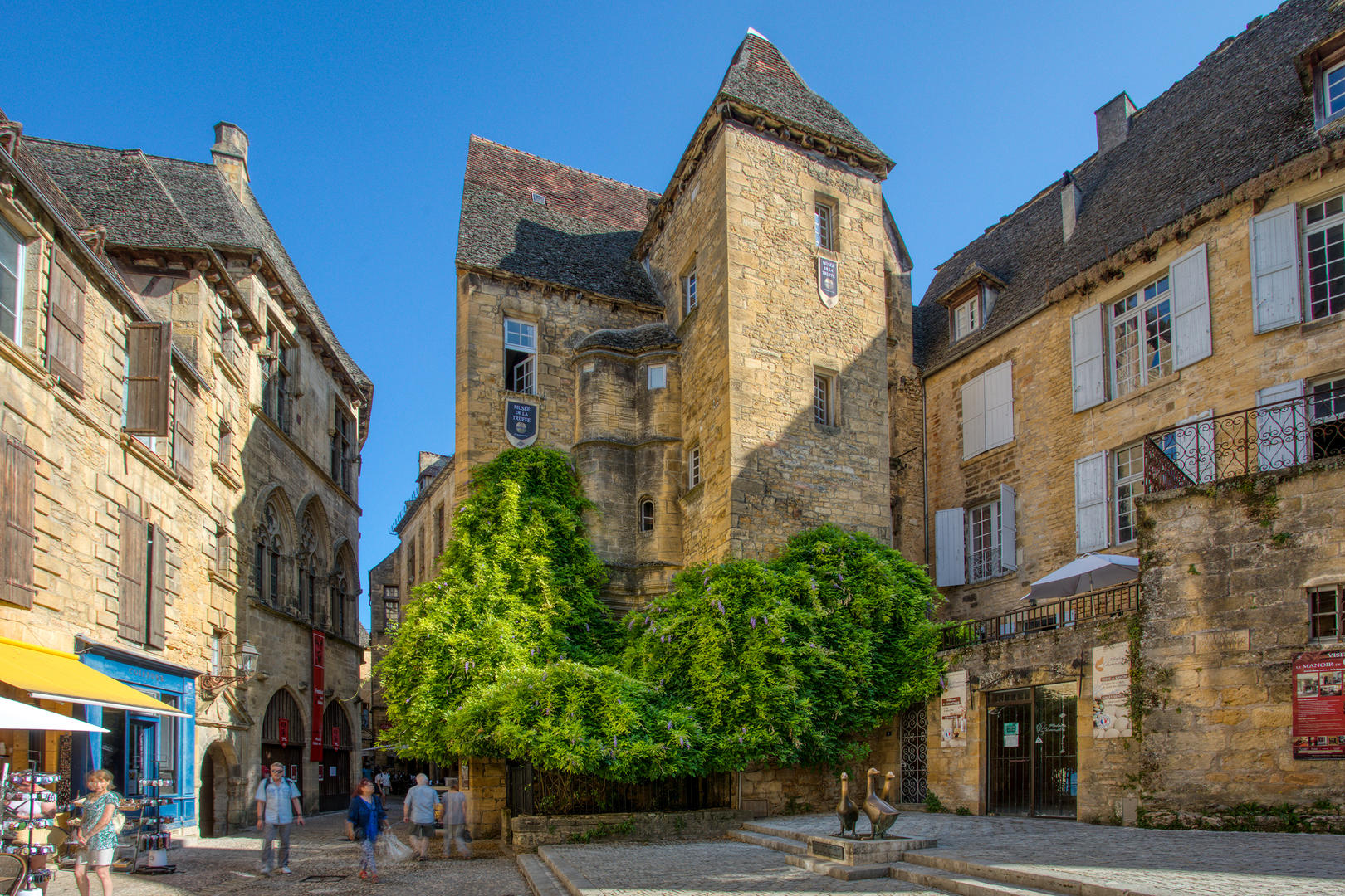 Musée de la truffe