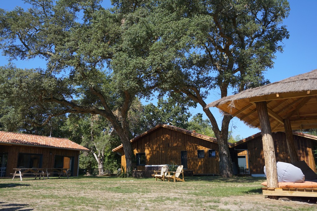 Nature Surf Camp