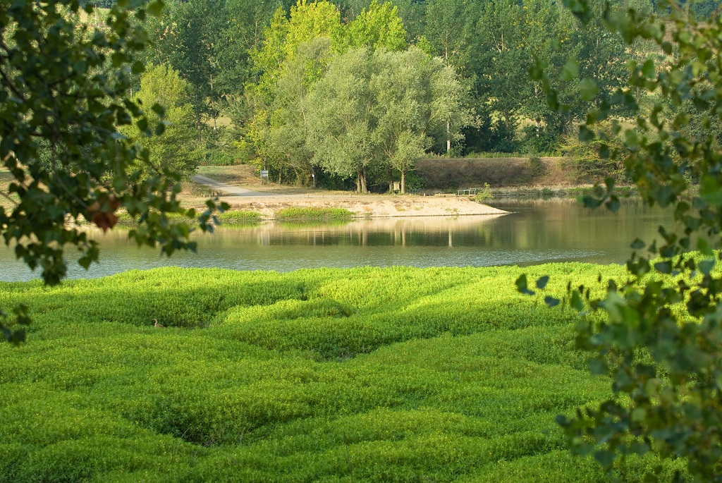 Lacs de Nerbis
