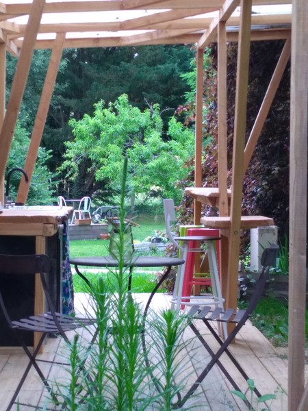 Graines de Nature - Le sloop échoué sur un îlot de verdure