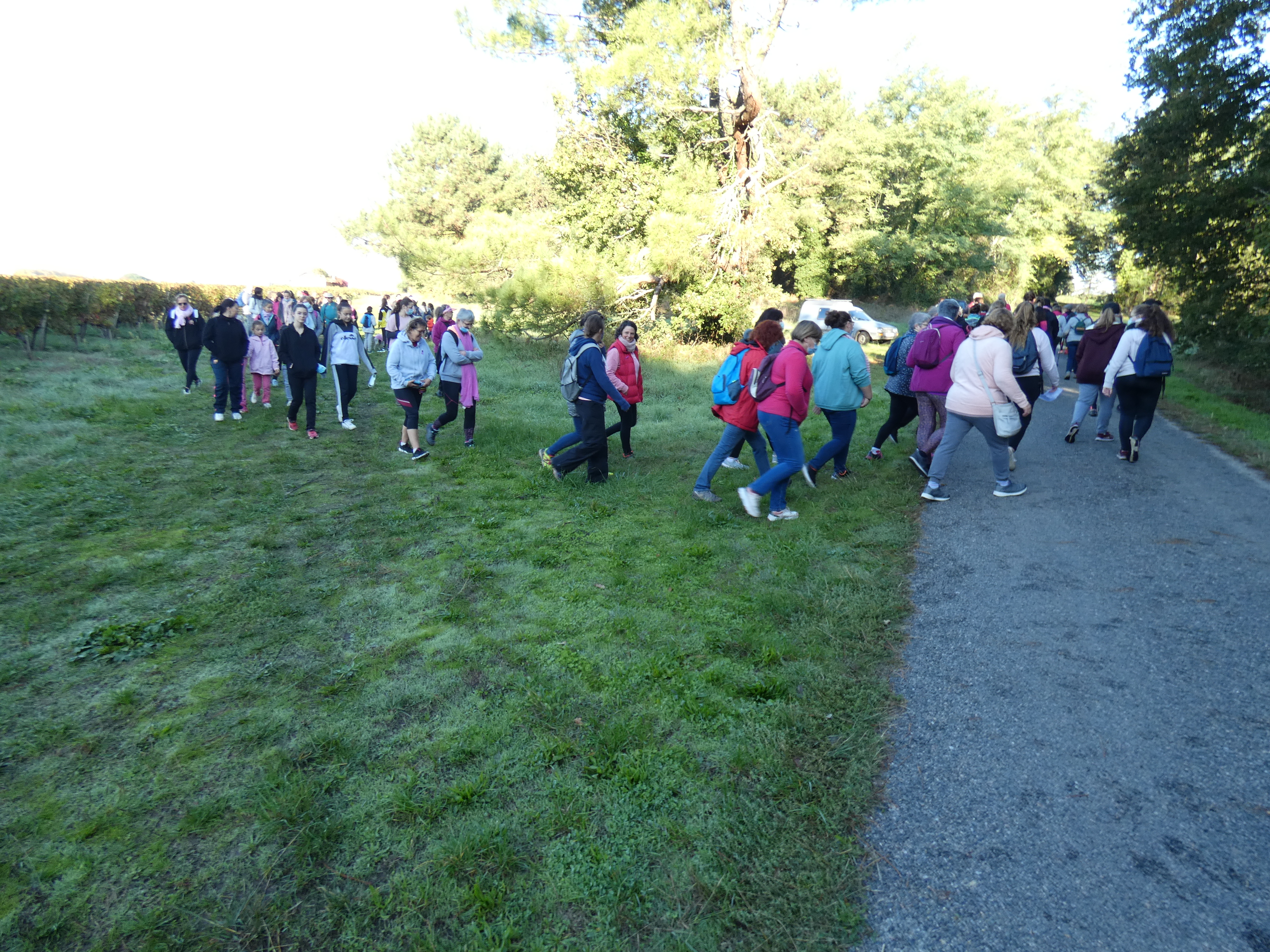 Marche rose 2026 à Berson