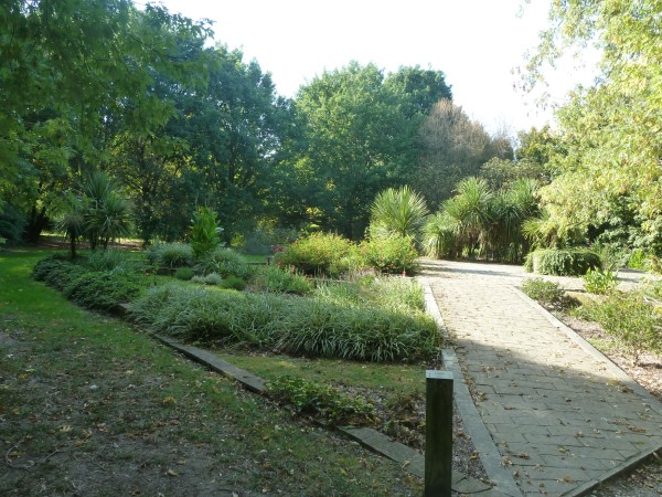 Balade à roulettes : Le Bois de Bordeaux 1 - Impraticable