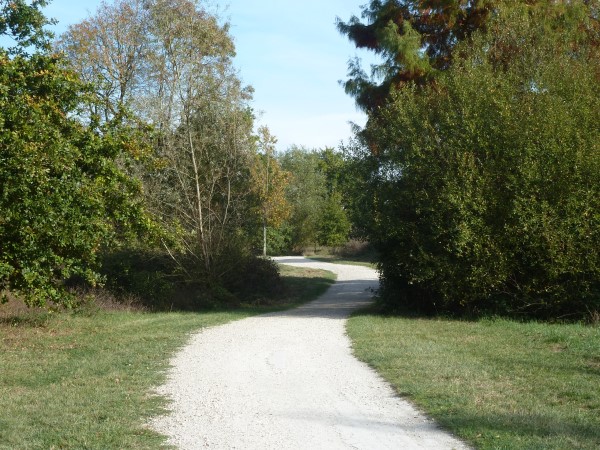 Balade à roulettes : Le Bois de Bordeaux 2 - Impraticable