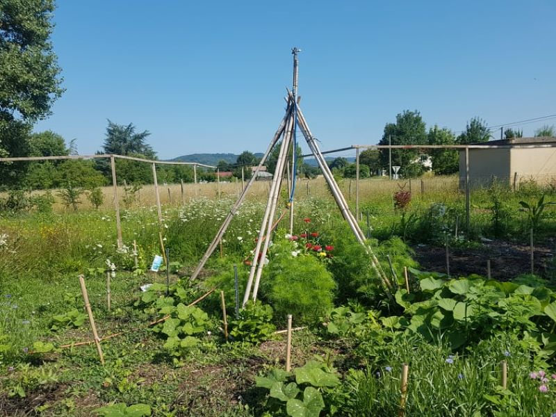 Le jardin insolite de Papy Paulo