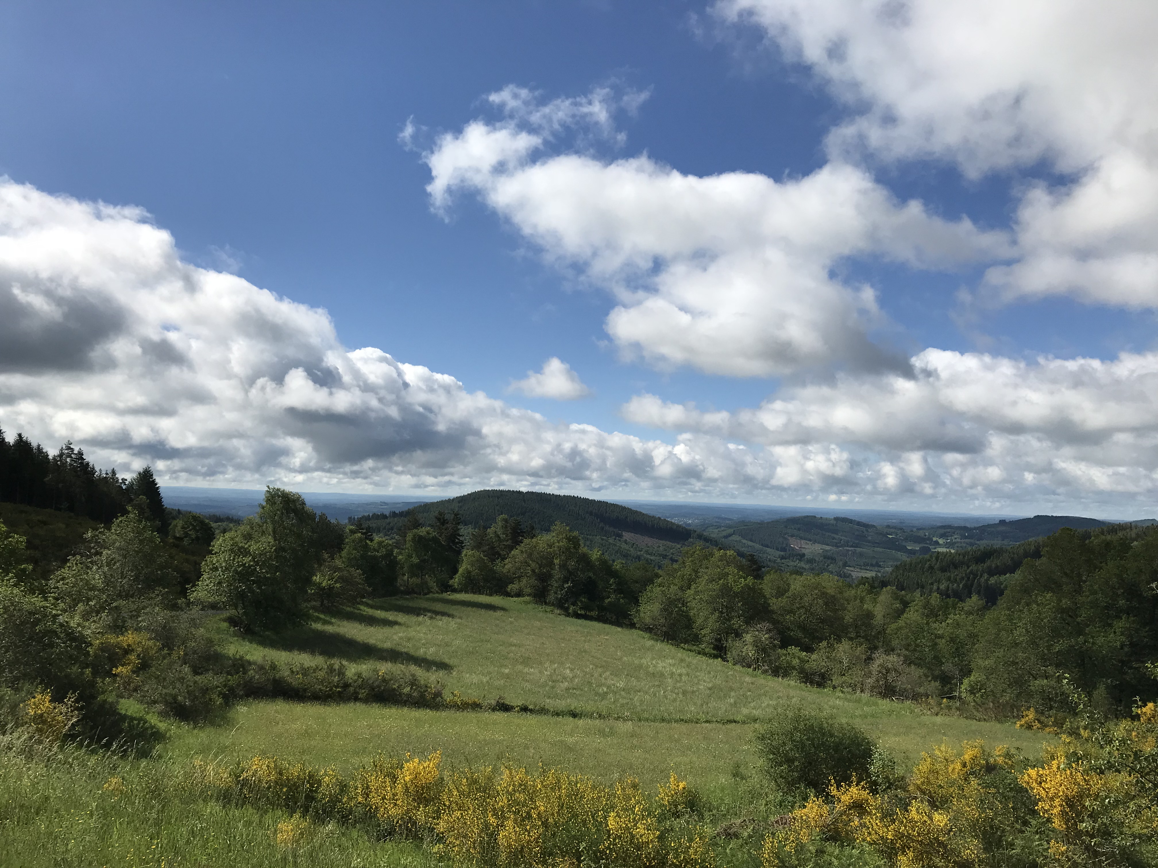 Entre Vedrenne et la Brette