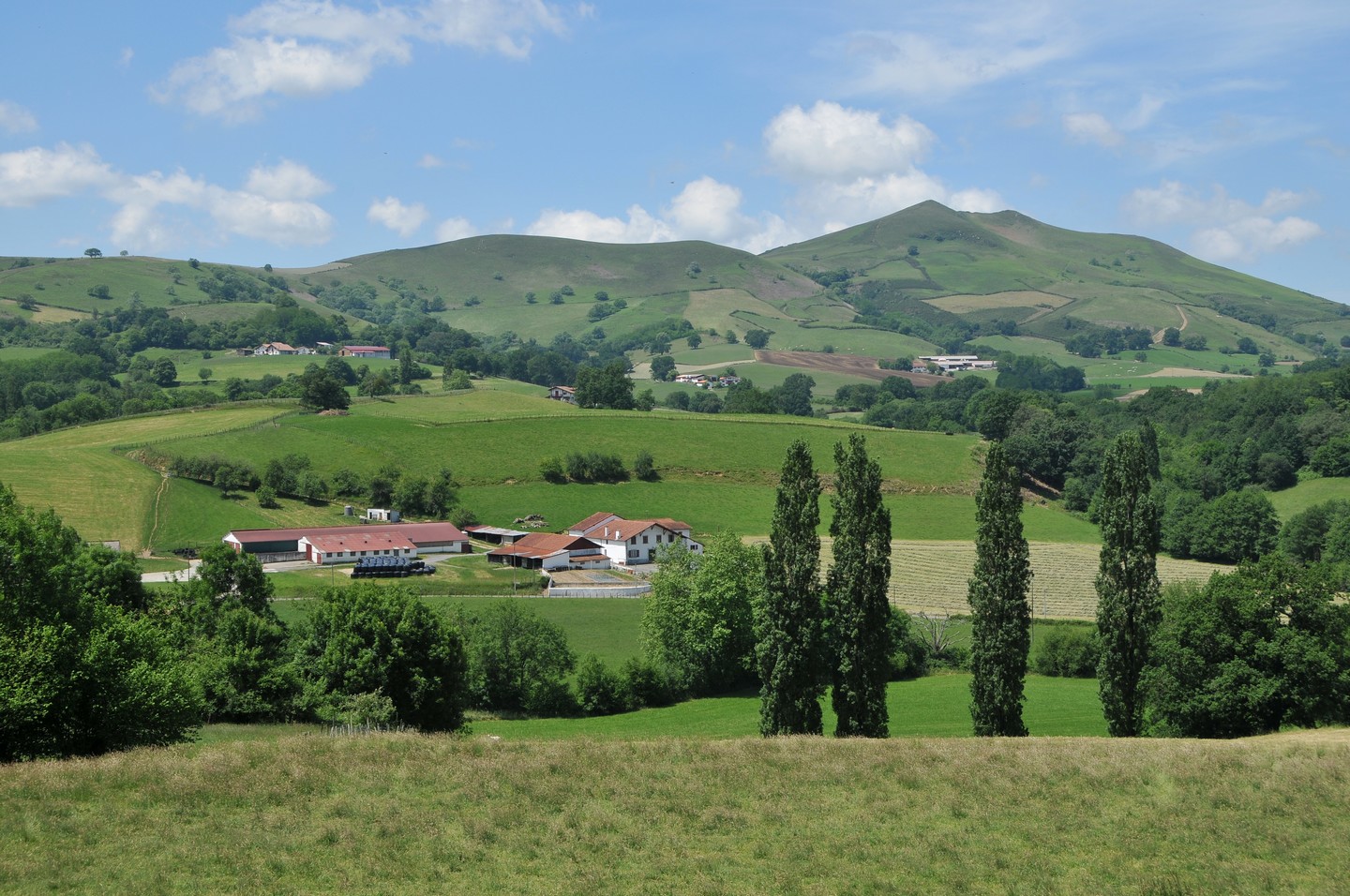 Belekarre
