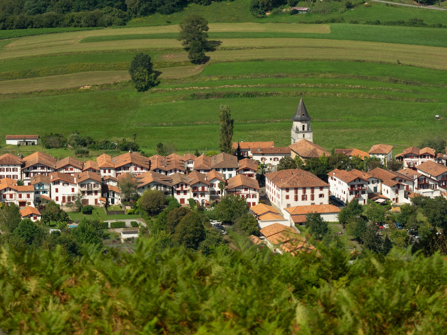 Bistaeder