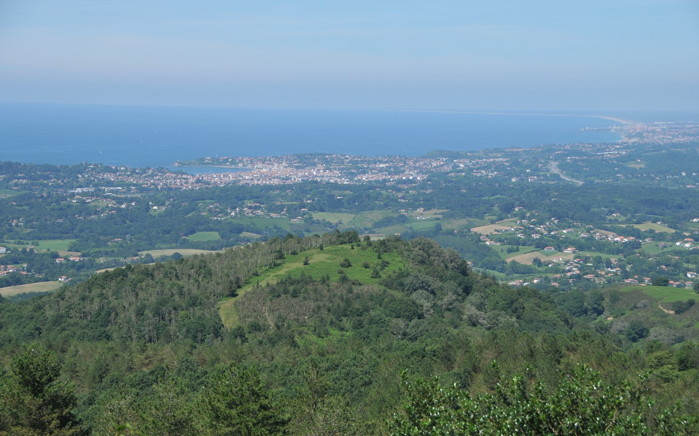Xoldo