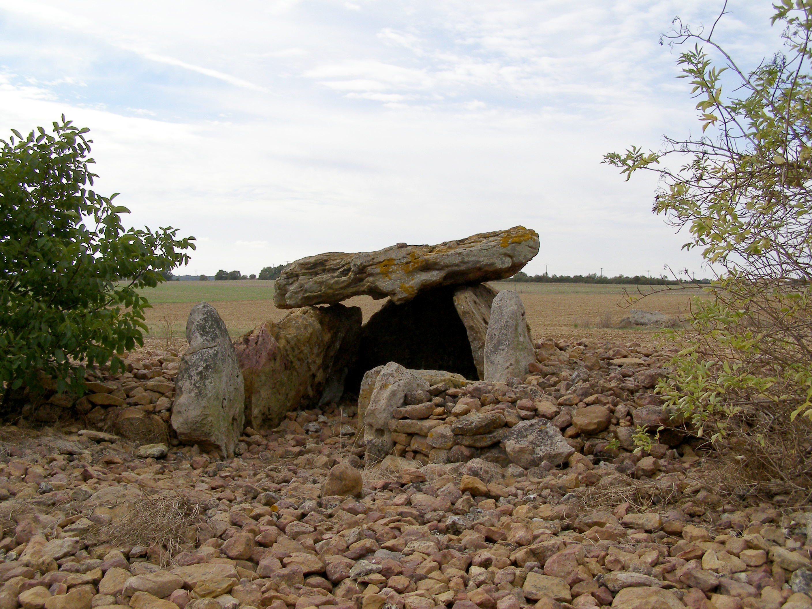 Visite des dolmens de la nécropole de Monpalais