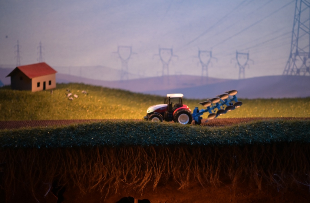 Film d'animation | Panique sous terre