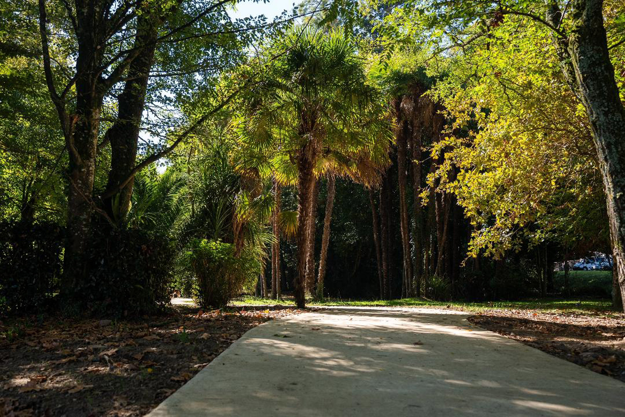 Parc Montaury