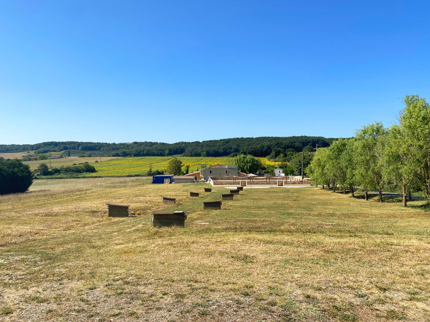 Camping du Parc Saint-Vincent