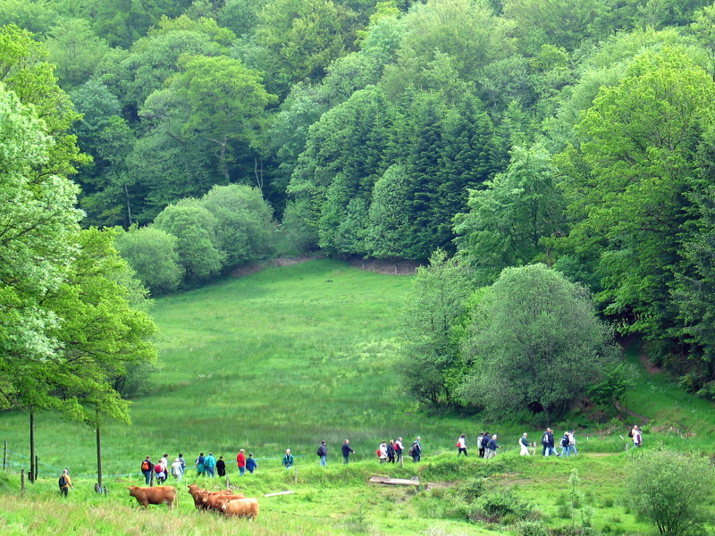 Base VTT FFC des Monts du Limousin - Circuit 15 L’oppidum