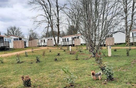 Camping la Petite Riviere