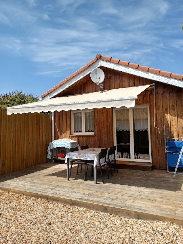 Le Margouillat
