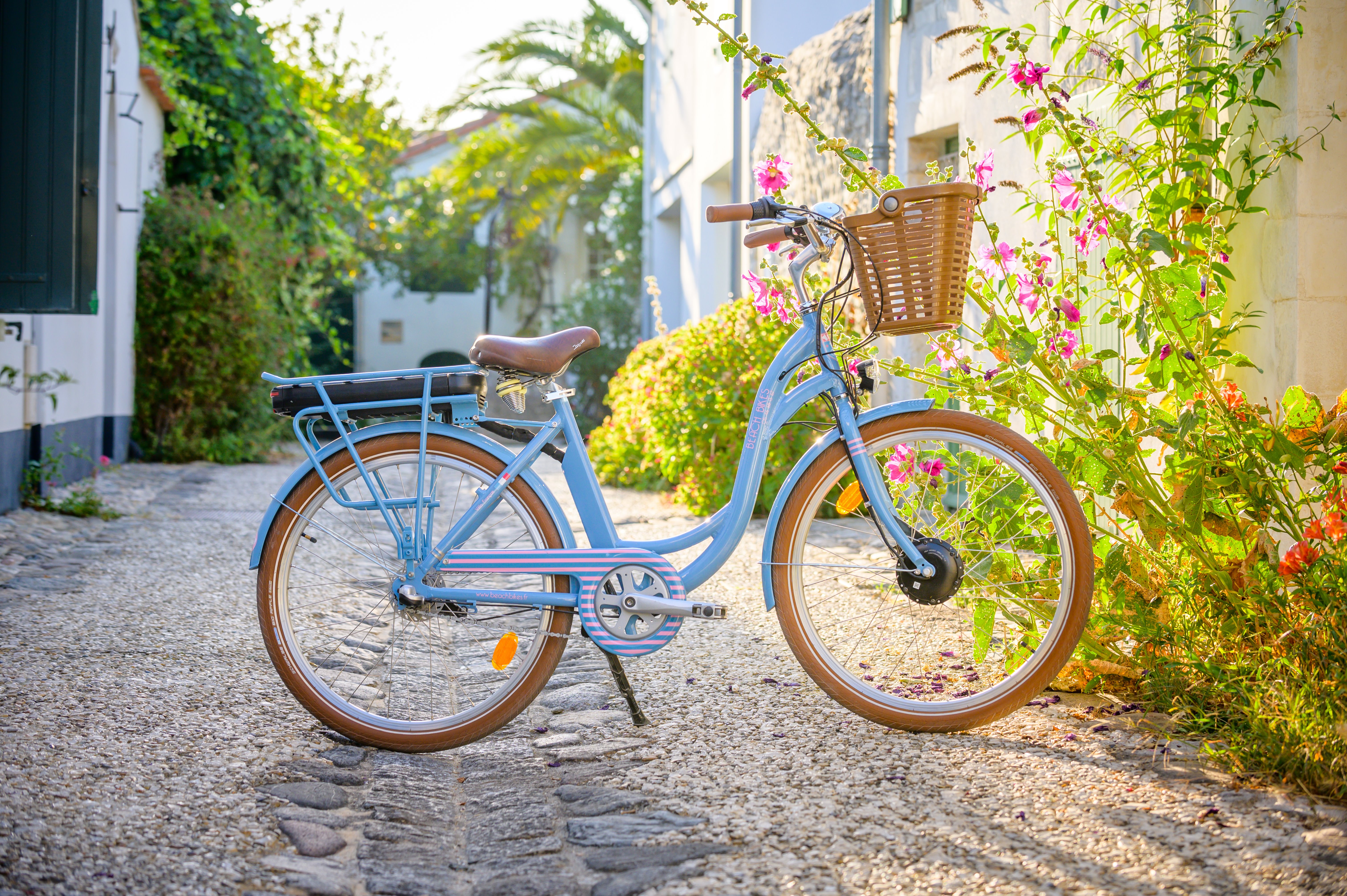 Beach Bikes
