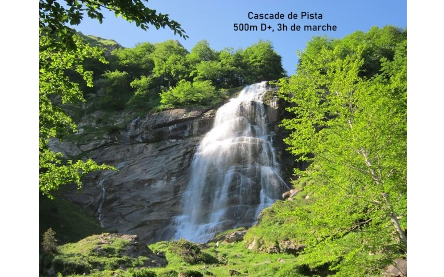 Scarabée - Accompagnatrice montagne