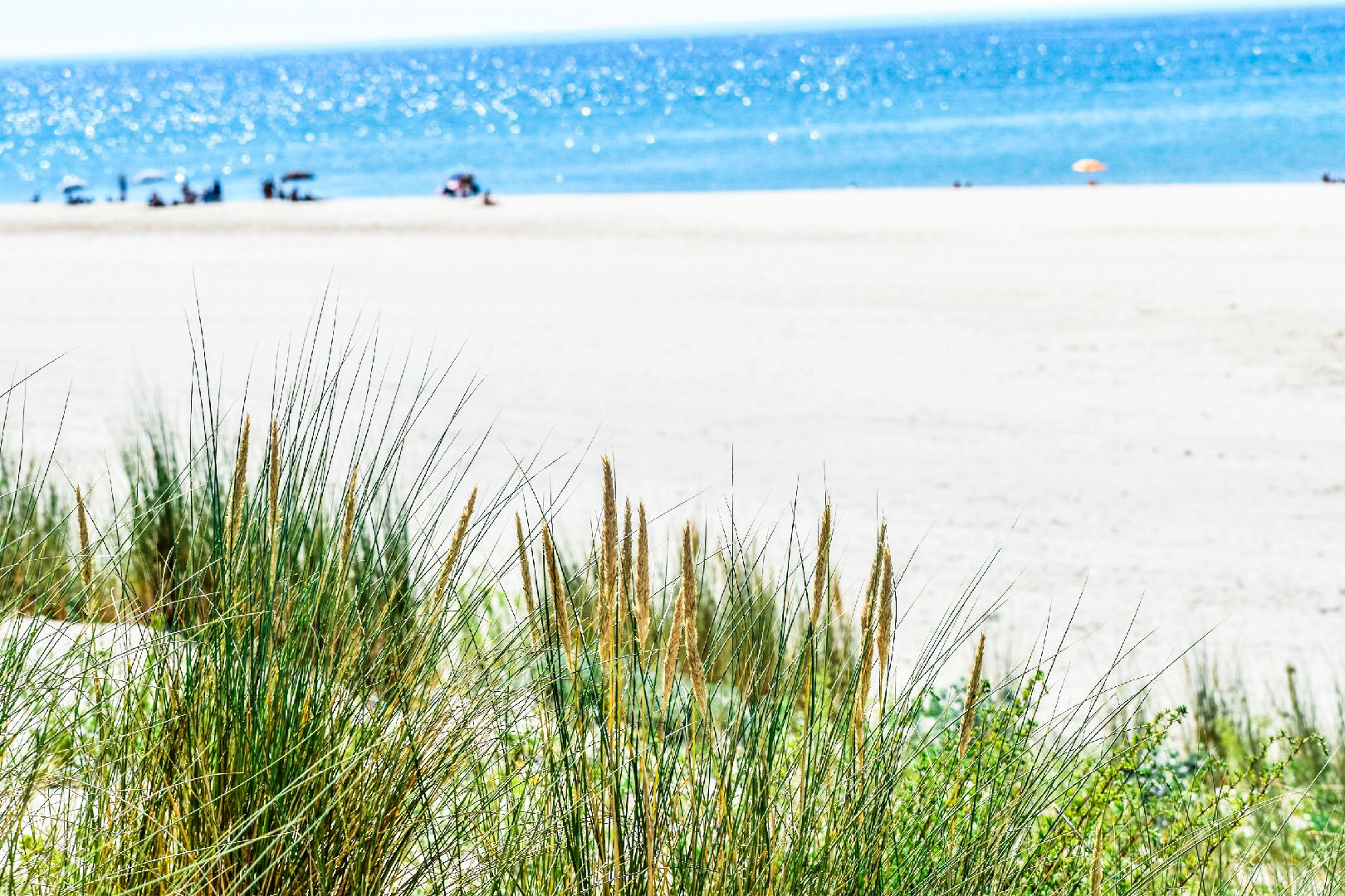 Plage des Olives surveillée de Soulac (zone de bain Nord)