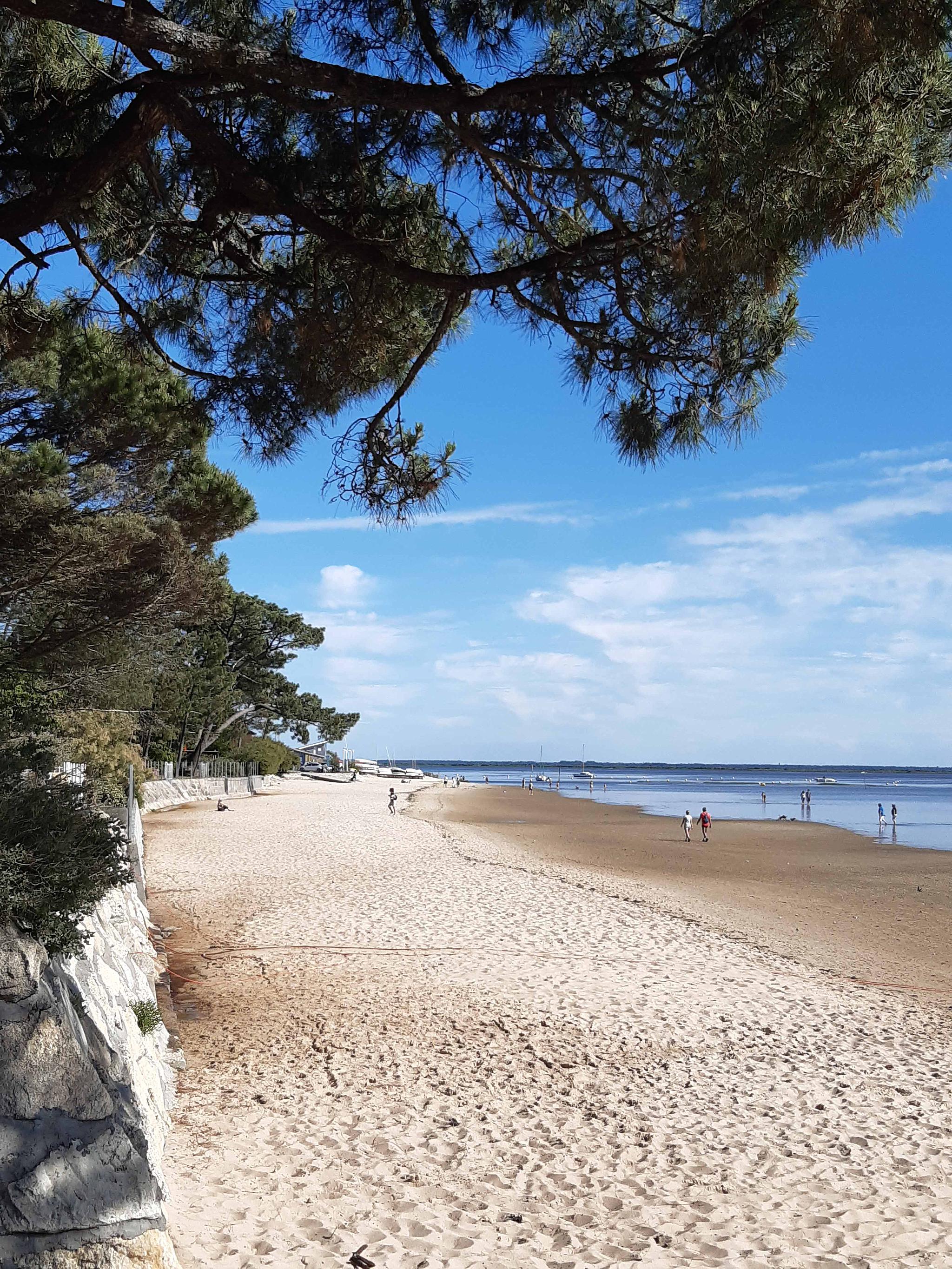 Gîte Les 2 Pins