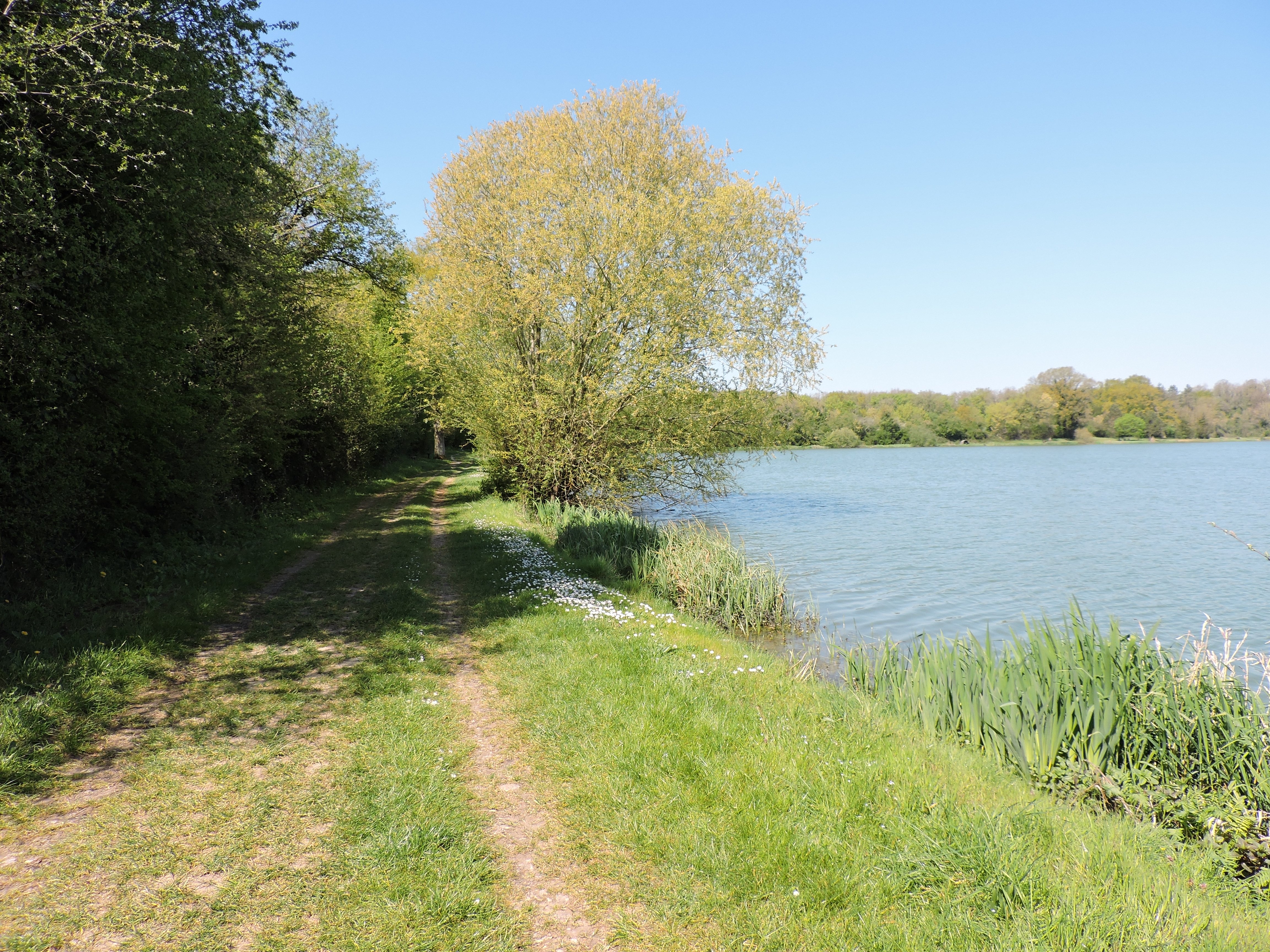 Plan d&rsquo;Eau de Fleix - photo 1