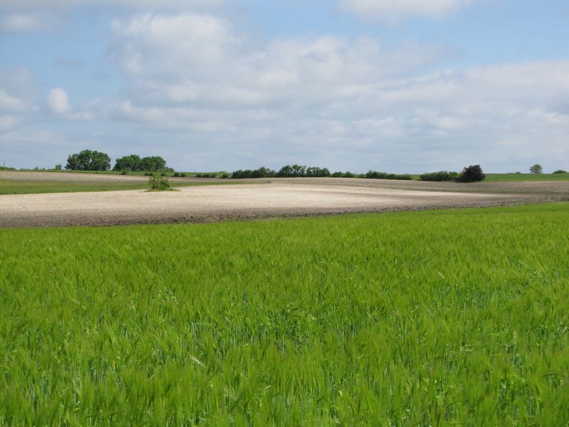 Plateau de Faux-Issigeac