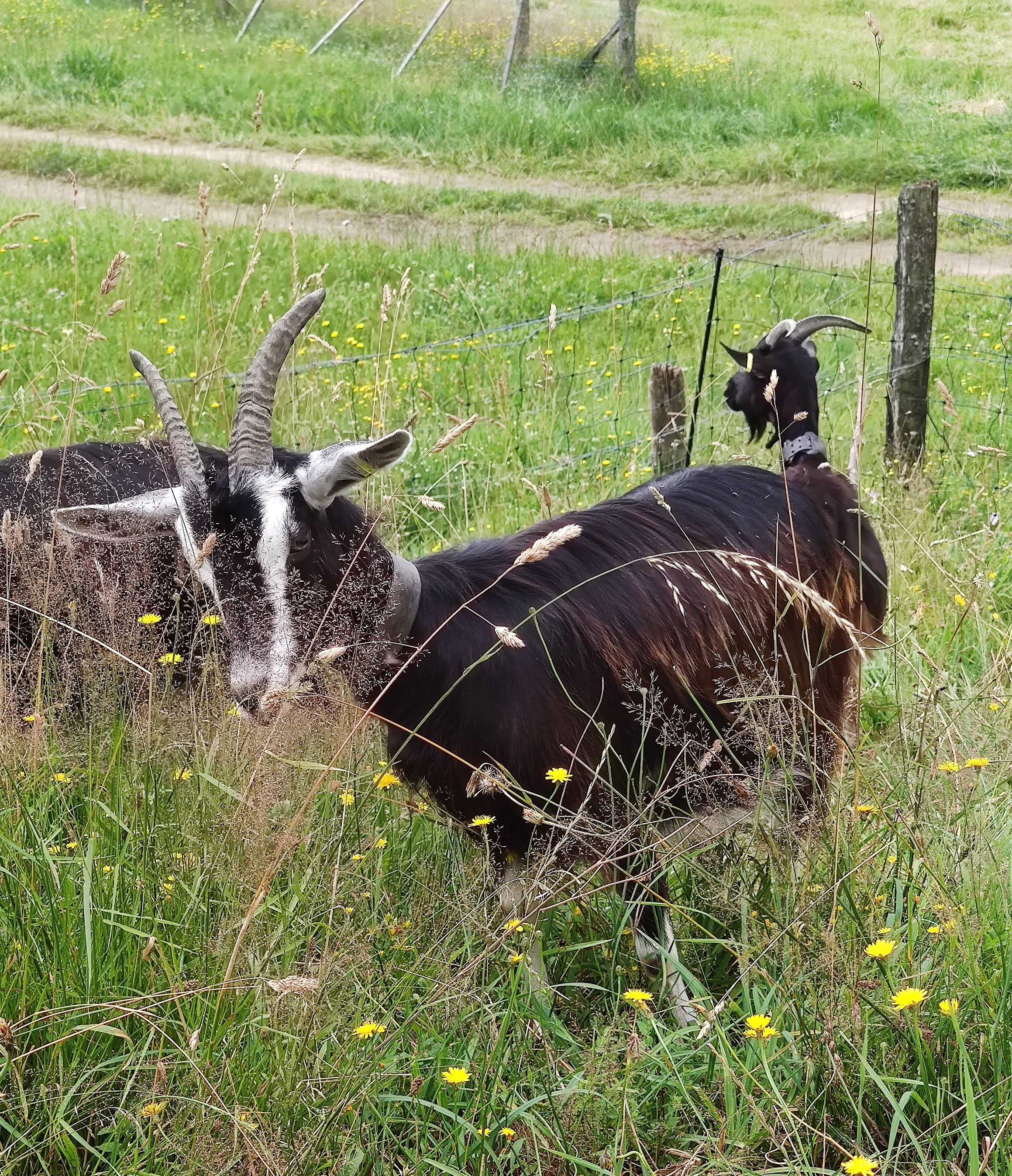 Yourte de la Ferme de Vassivière (2 personnes)